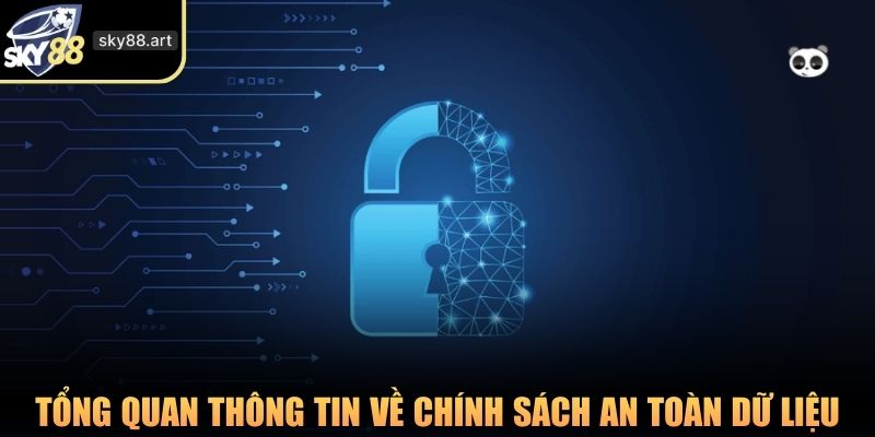 Tổng quan thông tin về chính sách an toàn dữ liệu của website