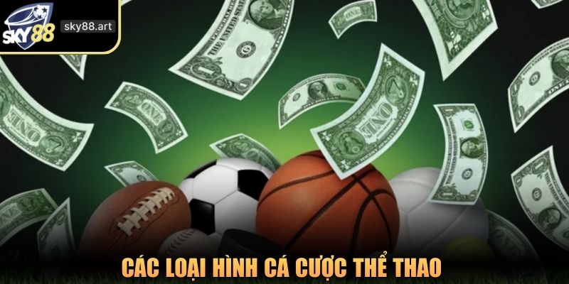 Các loại hình cá cược thể thao 